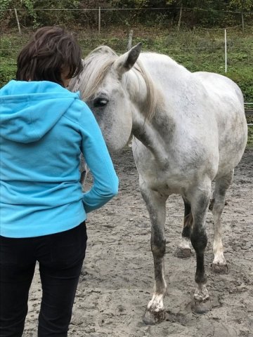 Coaching confiance en soi avec le cheval Clermont-Ferrand