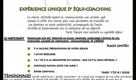 Expérience unique d’équi-coaching Clermont-Ferrand